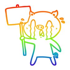 Rainbow Gradient Line Drawing Crying Pig Cartoon With Protest Sign Royalty Free Stock Photos