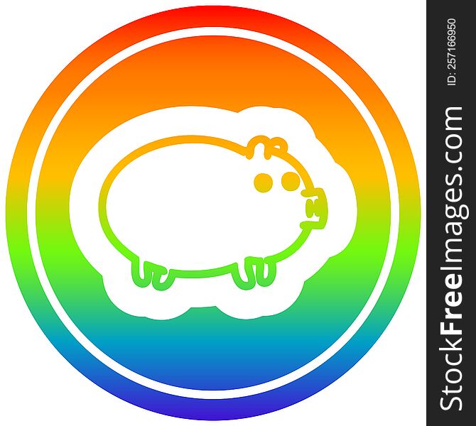 fat pig circular in rainbow spectrum