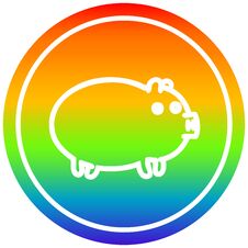 Fat Pig Circular In Rainbow Spectrum Royalty Free Stock Photos