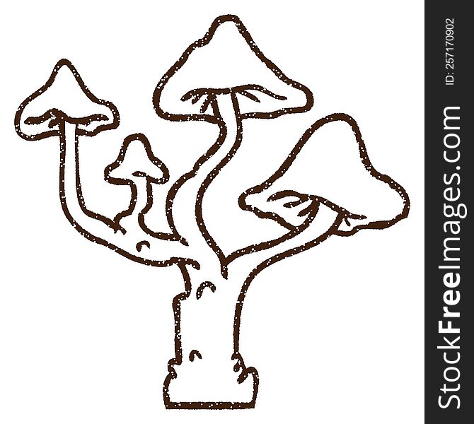 Mushrooms Charcoal Drawing