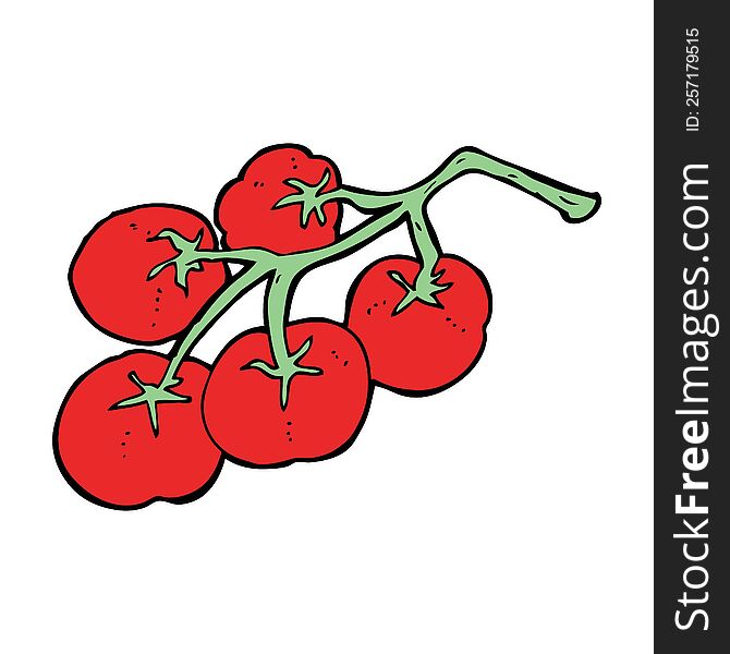 tomatoes on vine illustration