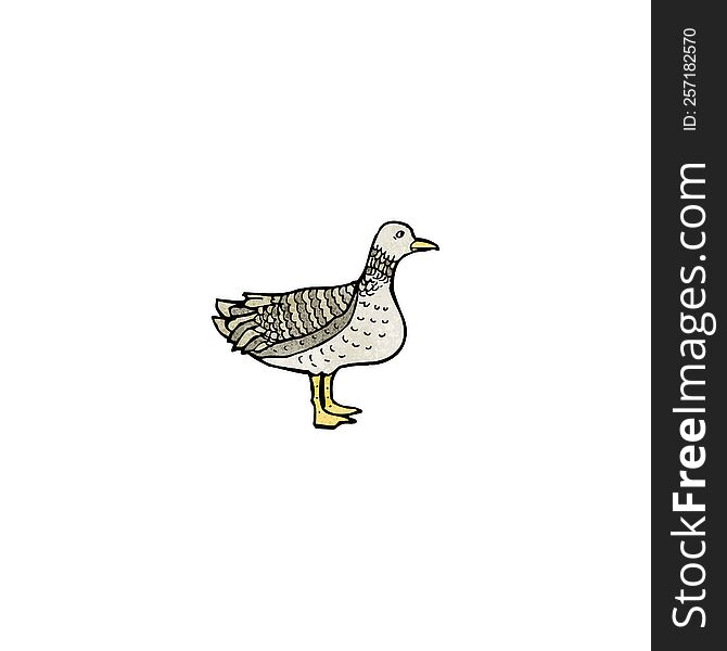 cartoon duck