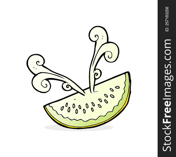 cartoon melon slice