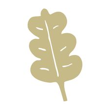 Free Cartoon Doodle Oak Leaf Stock Images - 257192364