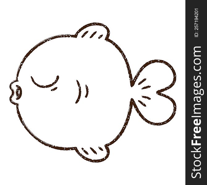 Fish Charcoal Drawing