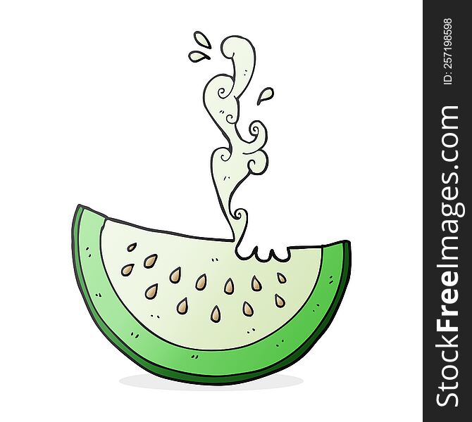freehand drawn cartoon melon slice