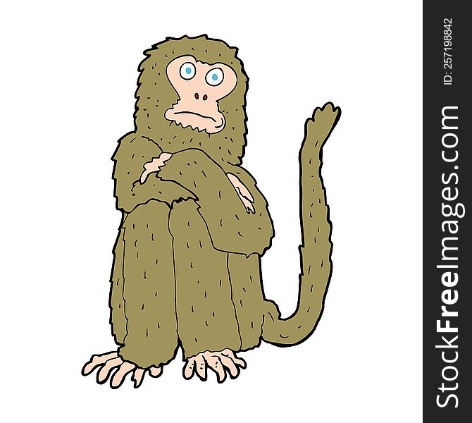 Cartoon Monkey