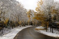 Road And Woods After Late Fall Snow Royalty Free Stock Photos