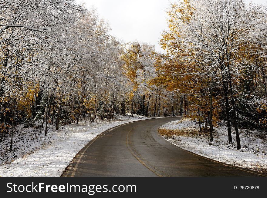 Late fall snow storm in Northern Wisconsin with a curved road in the forest. Late fall snow storm in Northern Wisconsin with a curved road in the forest.