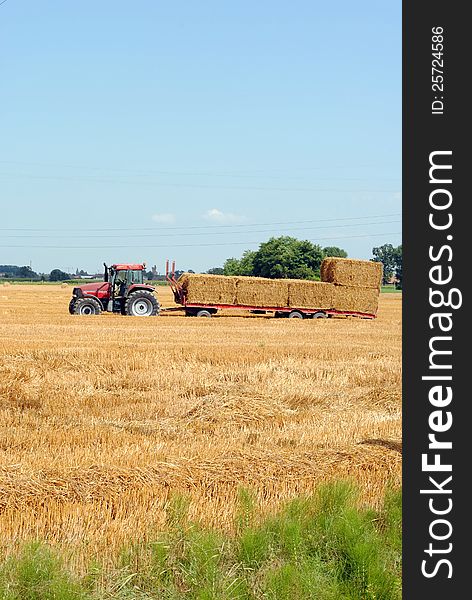 Tractors load bales of hay in farmlands