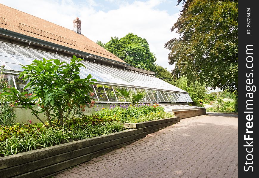 Exterior of Glass greenhouse with plants and foliage