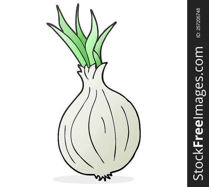 Cartoon Onion