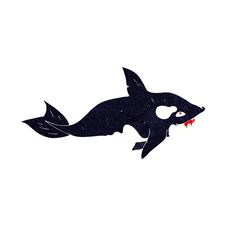 Cartoon Killer Whale Stock Photo