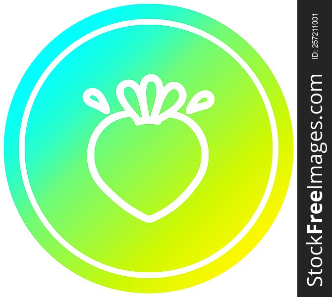 fresh fruit circular icon with cool gradient finish. fresh fruit circular icon with cool gradient finish