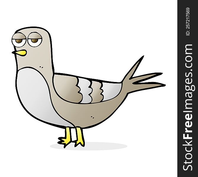 cartoon pigeon
