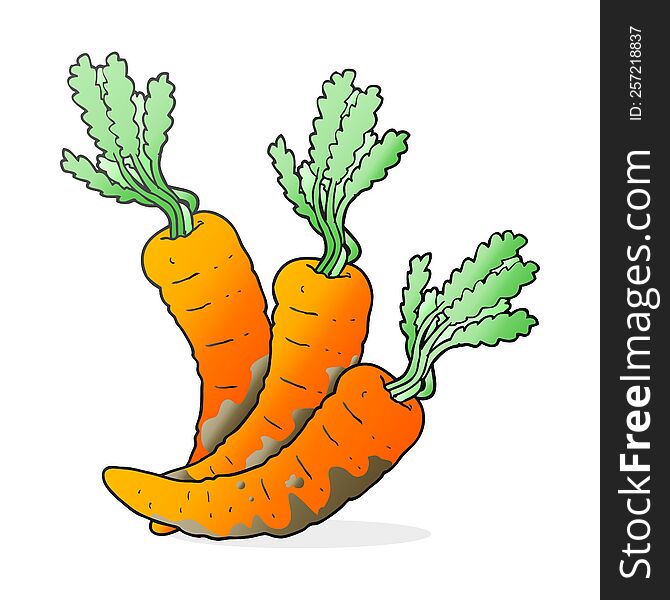 freehand drawn cartoon carrots