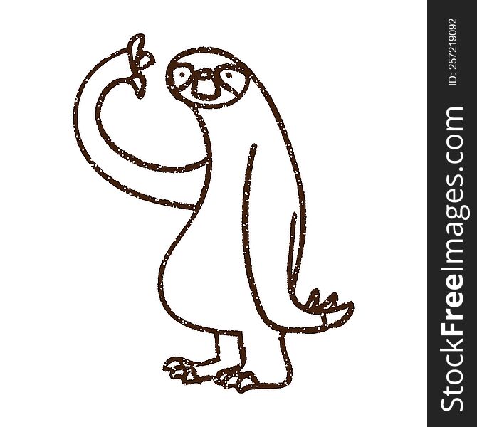 Sloth Charcoal Drawing