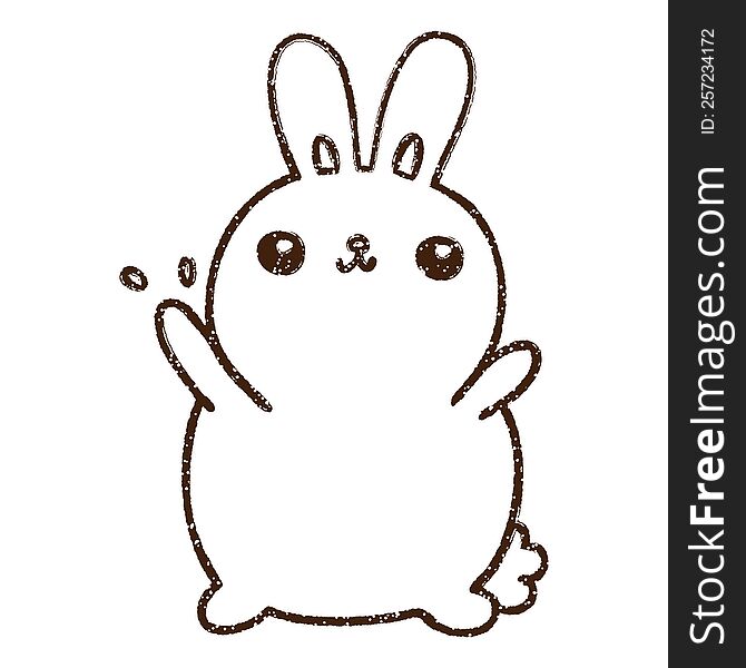 Rabbit Charcoal Drawing