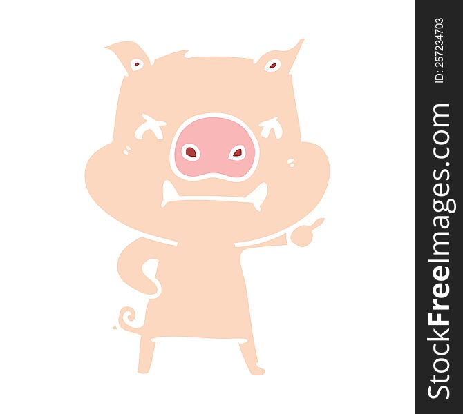 Angry Flat Color Style Cartoon Pig