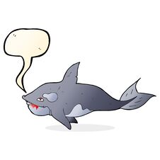 Cartoon Killer Whale With Speech Bubble Royalty Free Stock Image