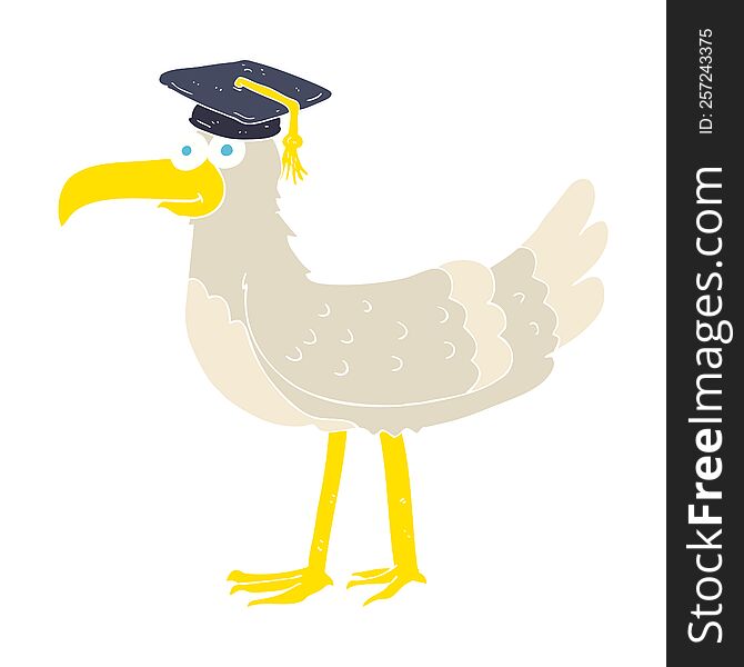 Flat Color Illustration Of A Cartoon Seagull With Graduate Cap