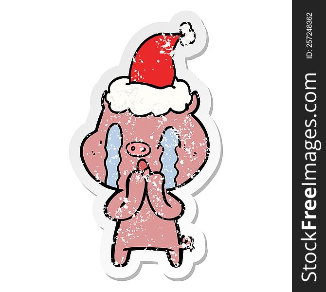 crying pig hand drawn distressed sticker cartoon of a wearing santa hat. crying pig hand drawn distressed sticker cartoon of a wearing santa hat