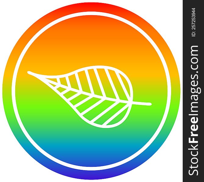 natural leaf circular icon with rainbow gradient finish. natural leaf circular icon with rainbow gradient finish