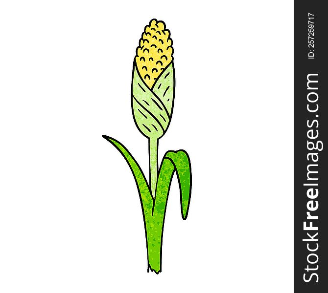 hand drawn textured cartoon doodle of fresh corn on the cob