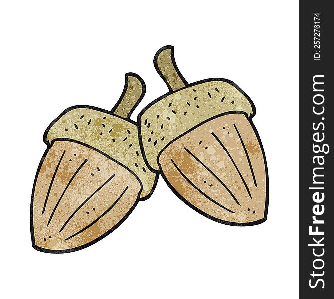 freehand textured cartoon acorns