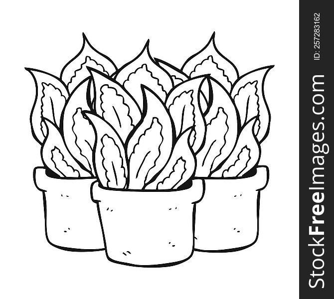 freehand drawn black and white cartoon house plants