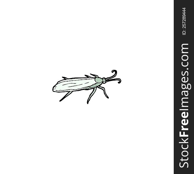 insect illustration