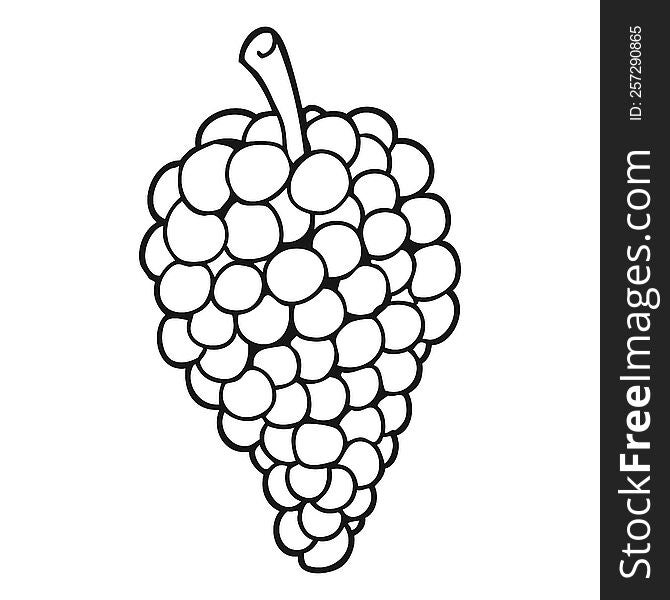freehand drawn black and white cartoon grapes