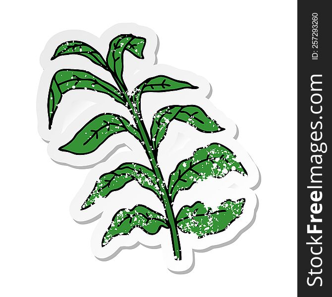 distressed sticker of a quirky hand drawn cartoon vine leaves