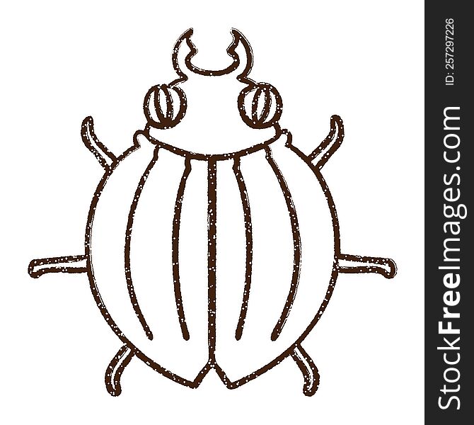 Bug Charcoal Drawing