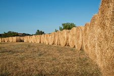 Row Of Bales Of Hay Stock Images Row Of Bales Of Hay Stock Images