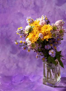 Colorful Chrysanthemums Bunch Royalty Free Stock Images Colorful Chrysanthemums Bunch Royalty Free Stock Images