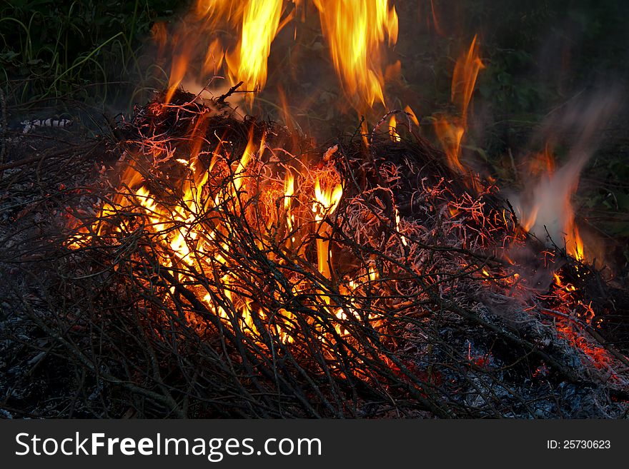 Wooden branches and twigs are Burning in Fire. Wooden branches and twigs are Burning in Fire