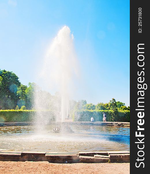 The fountain in the lower park of Peterhof, Russia.sunny day