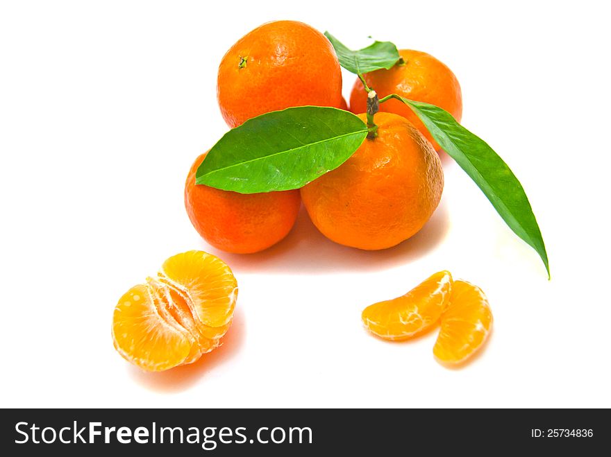 Tangerines on a branch on white