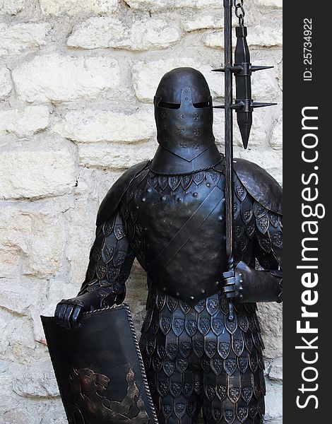Medieval warrior
