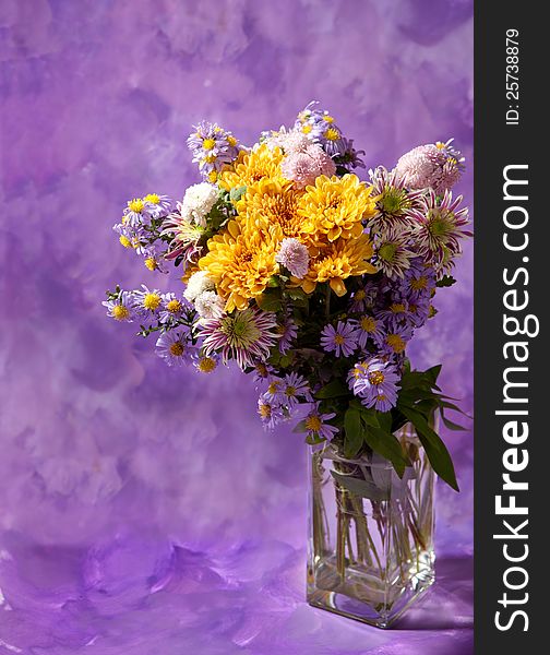 Colorful chrysanthemums bunch on abstract background