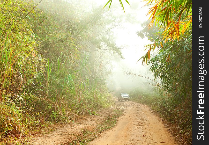 Ground road in jungle near Umphang. Tak Province in northwestern Thailand.