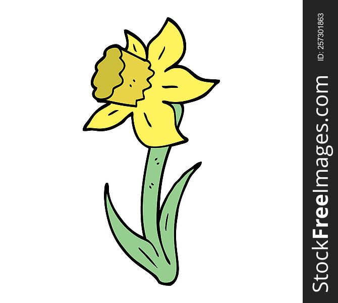 Hand Drawn Doodle Style Cartoon Daffodil