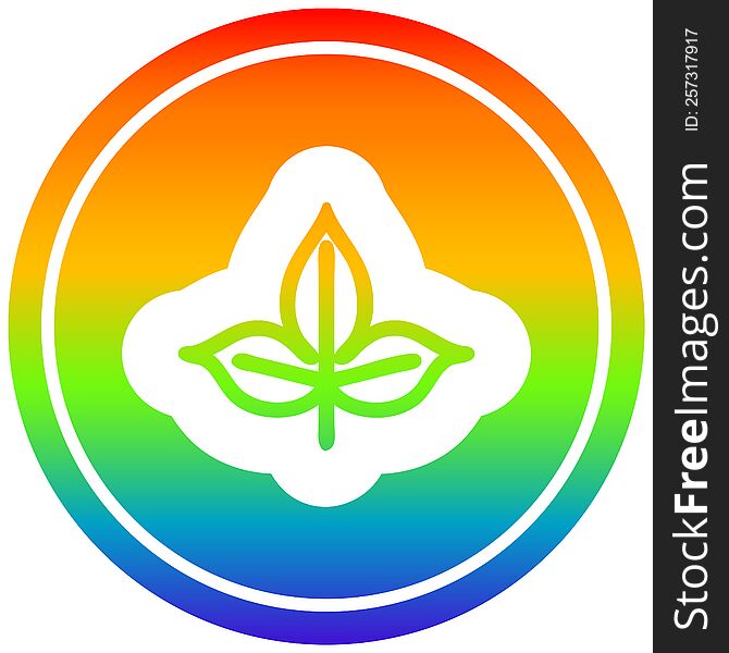 natural leaf circular icon with rainbow gradient finish. natural leaf circular icon with rainbow gradient finish