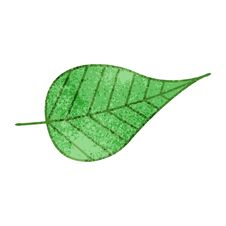 Retro Grunge Texture Cartoon Green Leaf Royalty Free Stock Photography
