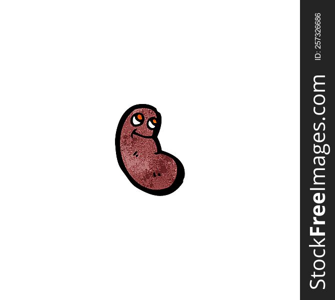 cartoon kidney