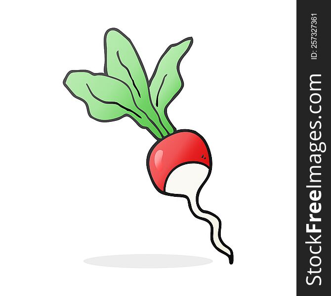 Cartoon Radish