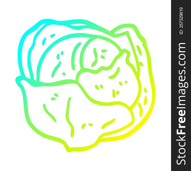 cold gradient line drawing of a cartoon organic lettuce