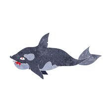 Cartoon Killer Whale Stock Images