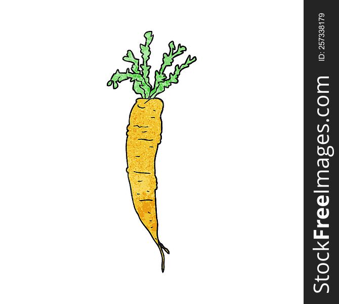 freehand textured cartoon carrot